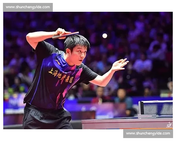 樊振东与 “人民艺术家” 许昕对练：球台三米外的乒乓美学碰撞