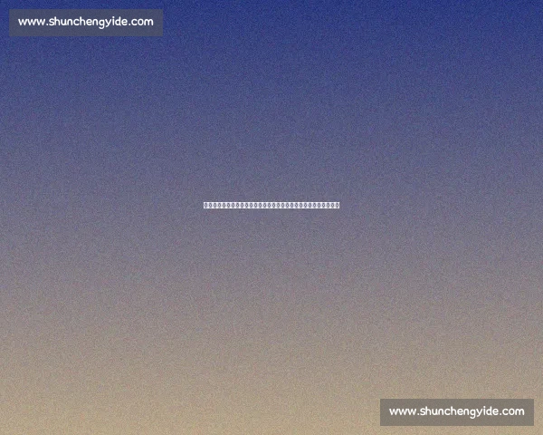 虎扑视角下的尤文图斯新赛季阵容走势与战术前景解析深度观察报告